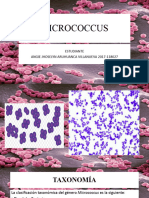 Micro Coccus