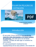 El Oso Polar en Peligro de Extinción Alonso Saavedra 4° Básico B