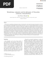 Cladistics - 2018 - Mirande - Morphology Molecules and The Phylogeny of Characidae Teleostei Characiformes