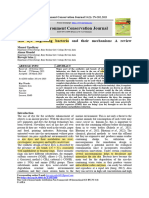 Azo - Dye - Degrading - Bacteria - and - Their - Mechanism, A Review