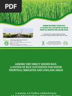 Aerobic Dry Direct Seeded Rice Cultivation - Anandan Et Al 2021 ICAR India