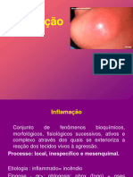 Inflamação Aguda F