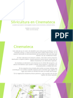 Analisis Silvicultura