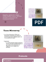 Protocolo Tissue Microarray Presentacion