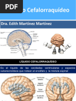 Líquido Cefalorraquídeo: Dra. Edith Martínez Martínez