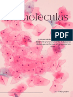 Química. Biomoléculas