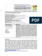 Energy Budgeting and Life Cycle Assessment of Cashew Cultivation Under Different Planting Densities