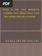 Max 1st Premolar PDF