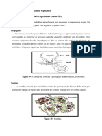 Chapitre II MULTI - Compressed