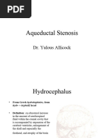 Aqueductal Stenosis