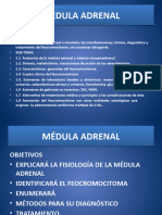 Médula Adrenal 2014