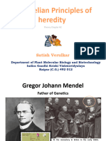 Mendelian Principles of Heredity