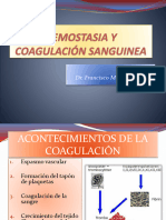 Hemostasia y Coagulación Sanguinea