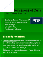 Transformations of Cells