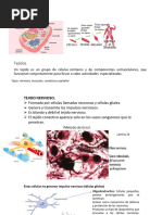 Diapositivas