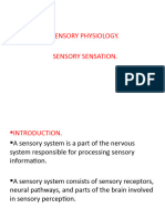 Sensory Sensation