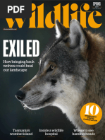 BBC Wildlife 2024 Spring Edition