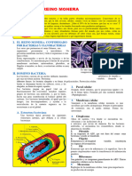 Actividad Reino Monera 1año