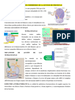 Antibacterianos Inhibidores de La Sintesis de Proteinas2