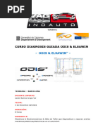 Curso Diagnosis Odis Elsawin