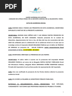 PDF Documento