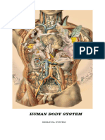 Human Body System - Skeletal