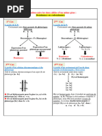 Resume Genetique Des Diploides