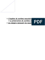 L'hygiène Du Système Musculaire. La Préservation de Système Musculaire Les Dangers Menaçant Les Muscles