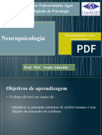 Neuropsicologia. Aula 4