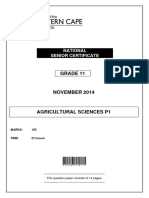 Grade 11: National Senior Certificate