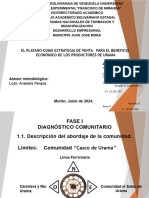 El Platano Como Estrategia de Venta para El Beneficio Económico de Los Productores de Urama