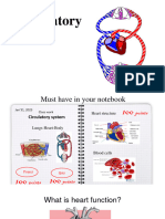 1 Circulatory System