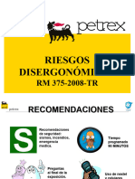 Riesgos Disergonómicos - RM 375-2008-TR (Petrex)