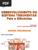 Sistema Tegumentar - Pele e GlÃ Ndulas