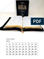 Biblia-Version-Israelita-Nazarena Con Septuagintacompleta