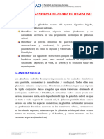 S11 - Lectura - Histofisiología Glandular Del Aparato Digestivo 2024