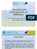 Gastos de Organización y Pre-Operativos