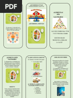 Triptico de La Alimentacion Saludable 2