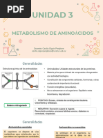 Metabolismo AA 2023