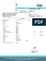 Informe