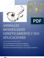 Aplicaciones de Los Animales Genéticamente Modificados