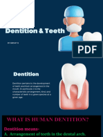 Dentition