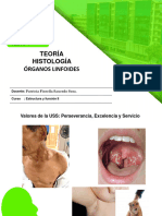 Teoria I Unidad - 7