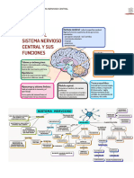 Ficha Teórica Procesos Funcionales Del SNC