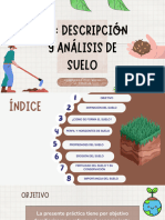 PD2 Descripción y Análisis de Suelo