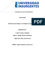 Documento Compartido ICD