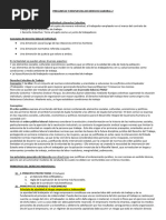 Preguntas y Respuestas de Derecho Laboral 2