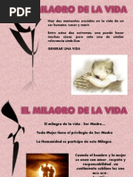 El Milagro de La Vida