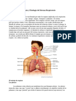 Anatomía y Fisiología Del Sistema Respiratorio