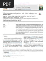 Physiological and Proteomic Analysis of Maize Seedling Response To Water Deficiency Stress